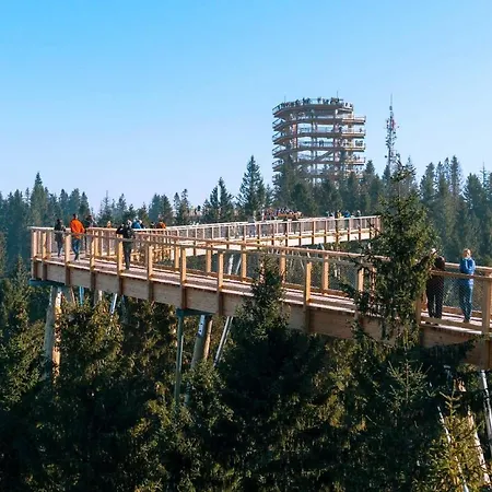 Pensionat Vila Lieska